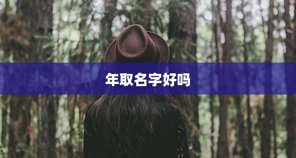 年取名字好吗