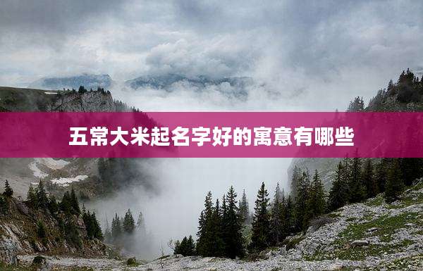 五常大米起名字好的寓意有哪些