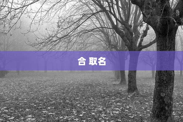 合 取名