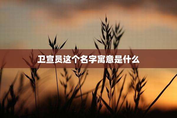 卫宣员这个名字寓意是什么