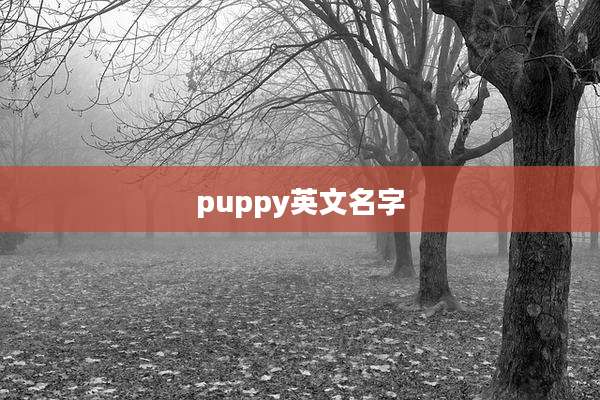 puppy英文名字