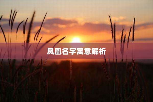 凤凰名字寓意解析