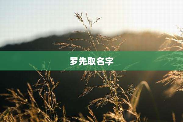 罗先取名字