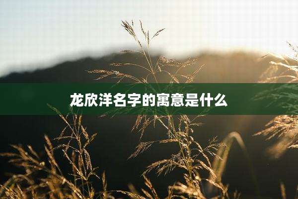 龙欣洋名字的寓意是什么