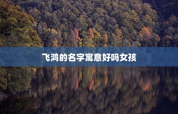 飞鸿的名字寓意好吗女孩