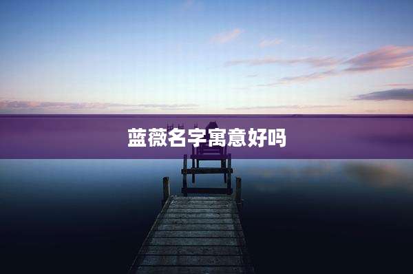 蓝薇名字寓意好吗