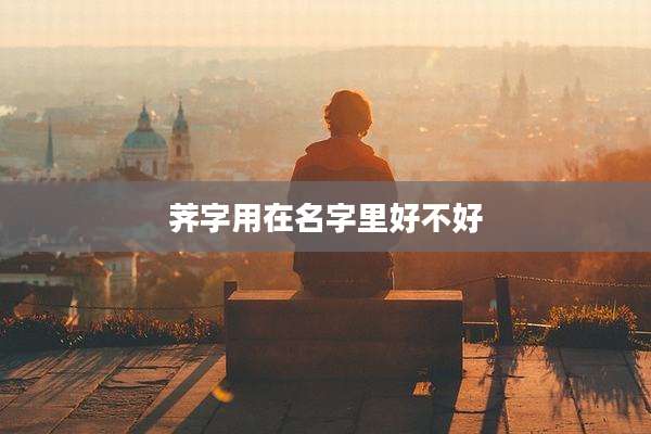 荠字用在名字里好不好