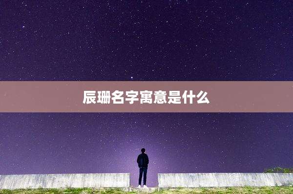 辰珊名字寓意是什么