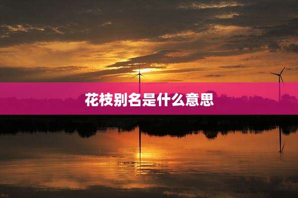 花枝别名是什么意思