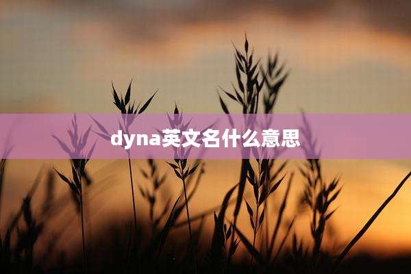 dyna英文名什么意思