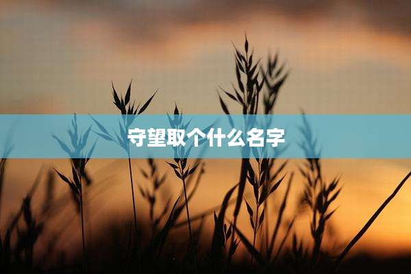 守望取个什么名字