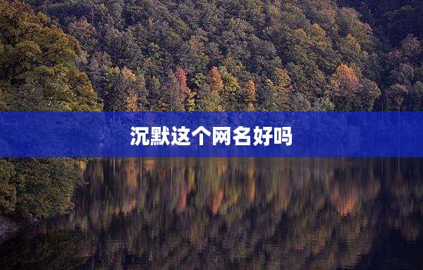 沉默这个网名好吗