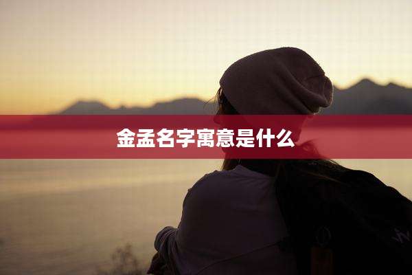 金孟名字寓意是什么