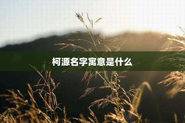 柯源名字寓意是什么