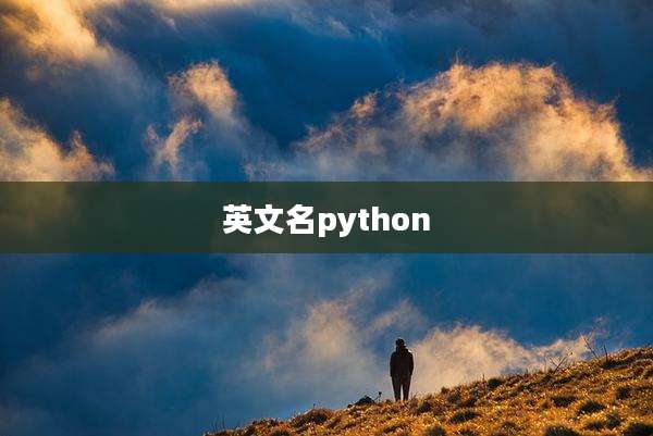 英文名python