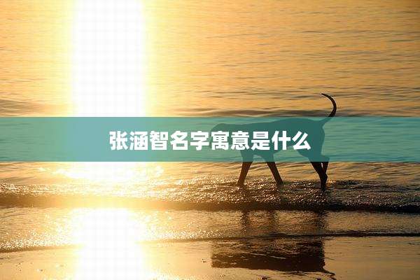 张涵智名字寓意是什么