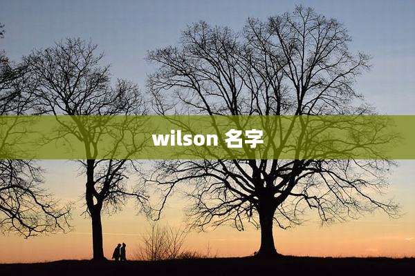wilson 名字