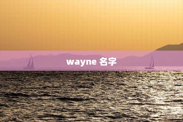 wayne 名字