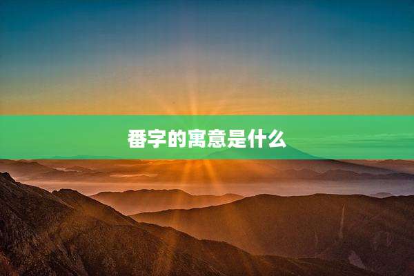 番字的寓意是什么