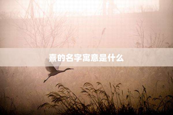 熹的名字寓意是什么