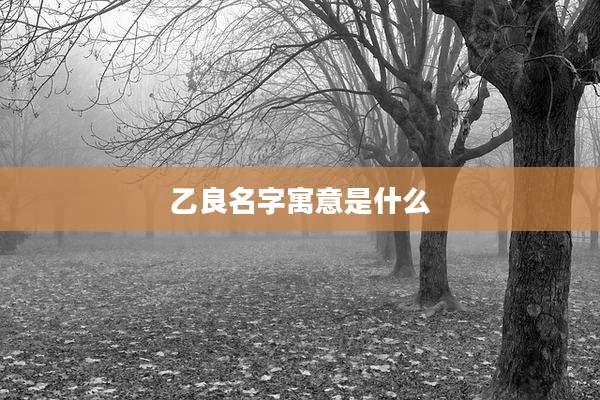 乙良名字寓意是什么