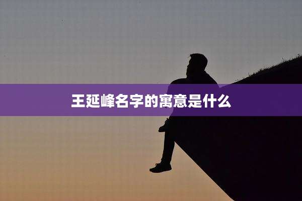 王延峰名字的寓意是什么