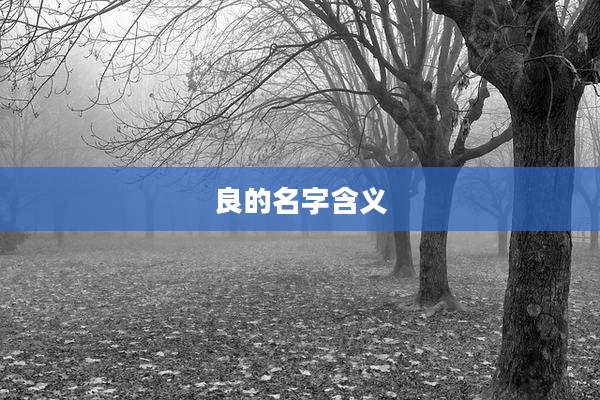 良的名字含义