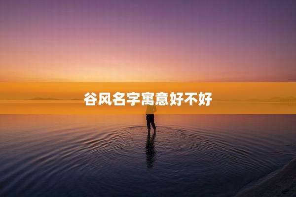 谷风名字寓意好不好