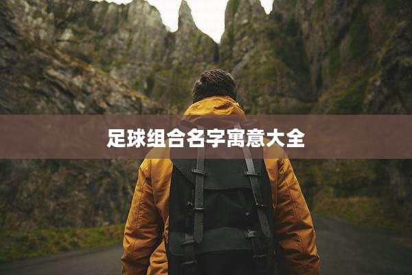 足球组合名字寓意大全