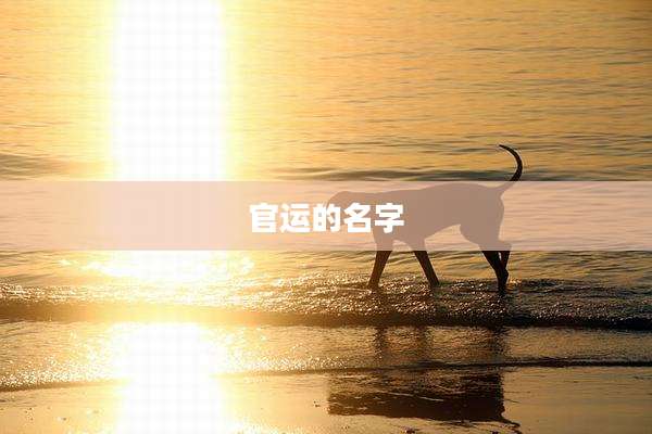 官运的名字