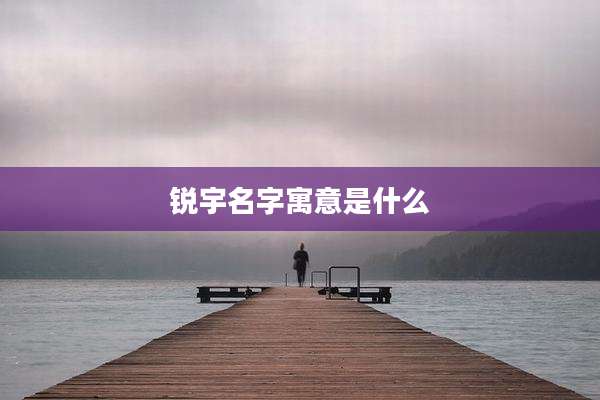 锐宇名字寓意是什么