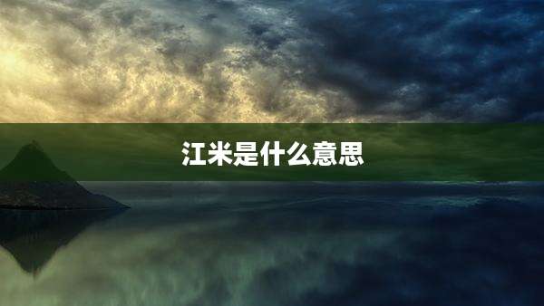 江米是什么意思