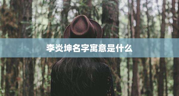 李炎坤名字寓意是什么