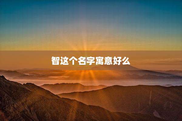 智这个名字寓意好么