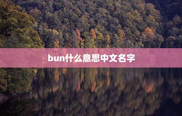 bun什么意思中文名字