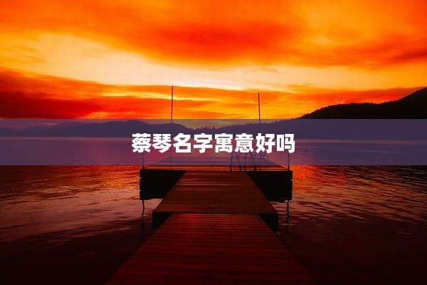 蔡琴名字寓意好吗