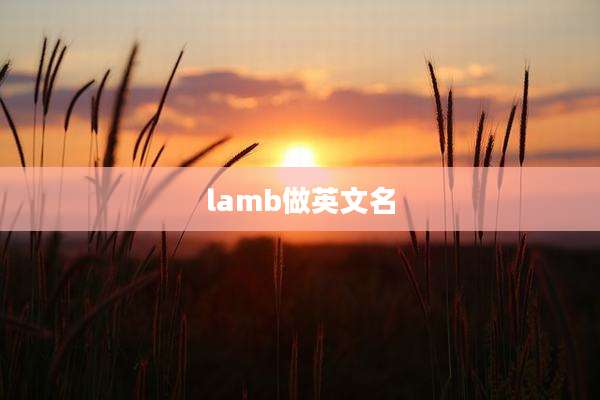 lamb做英文名