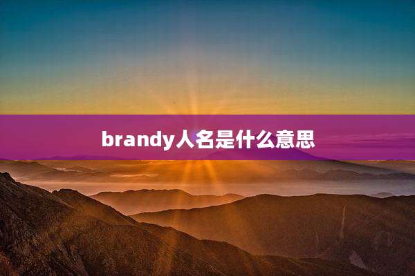 brandy人名是什么意思