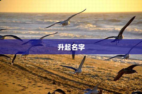 升起名字