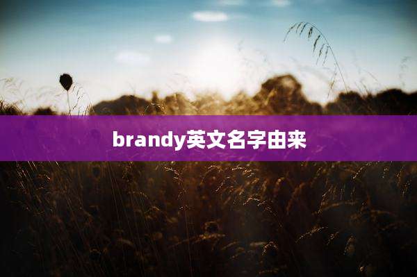brandy英文名字由来