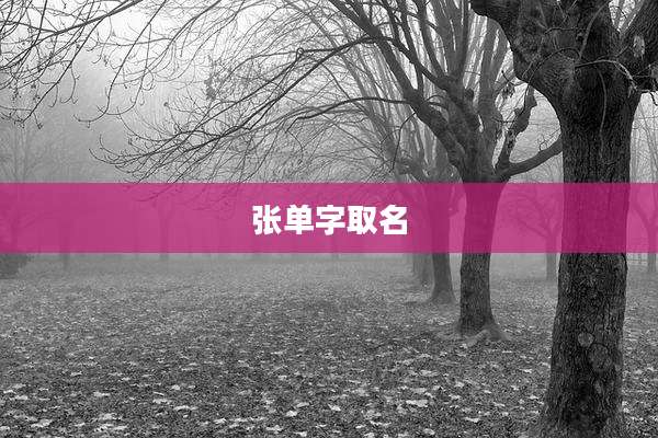 张单字取名