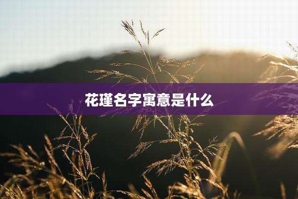 花瑾名字寓意是什么