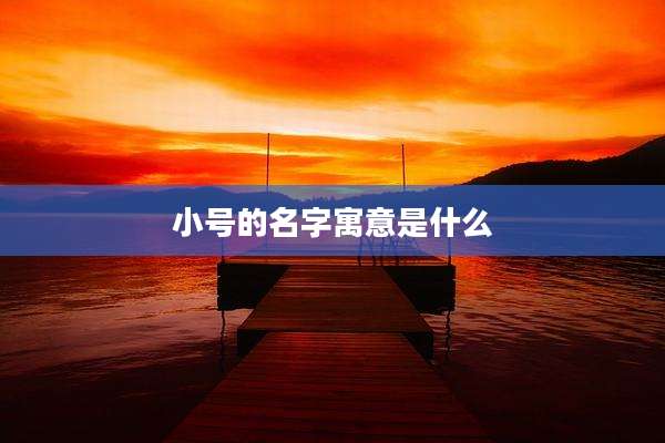 小号的名字寓意是什么