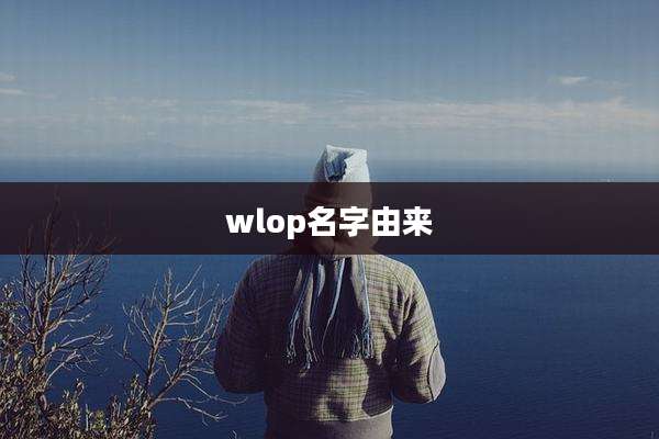 wlop名字由来