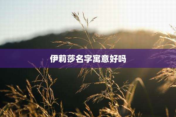 伊莉莎名字寓意好吗