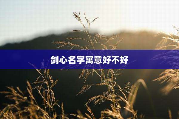 剑心名字寓意好不好