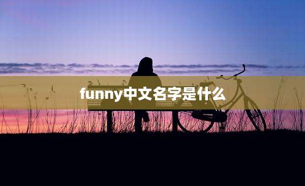 funny中文名字是什么