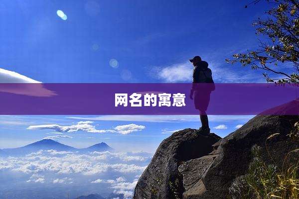 网名的寓意