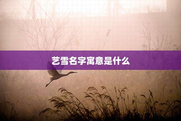 艺雪名字寓意是什么