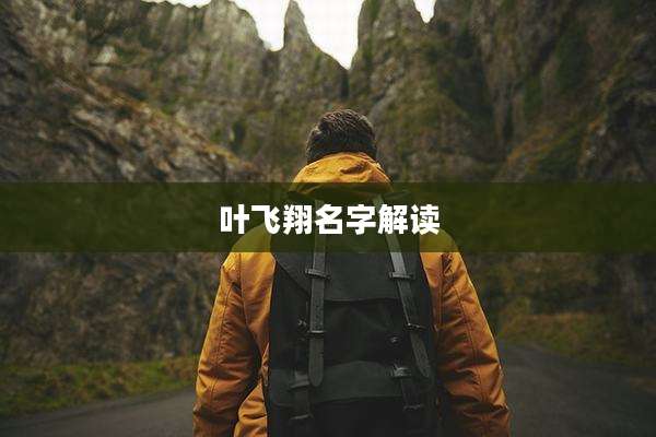 叶飞翔名字解读